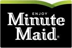 Fruit Punch 355ml Minute Maid